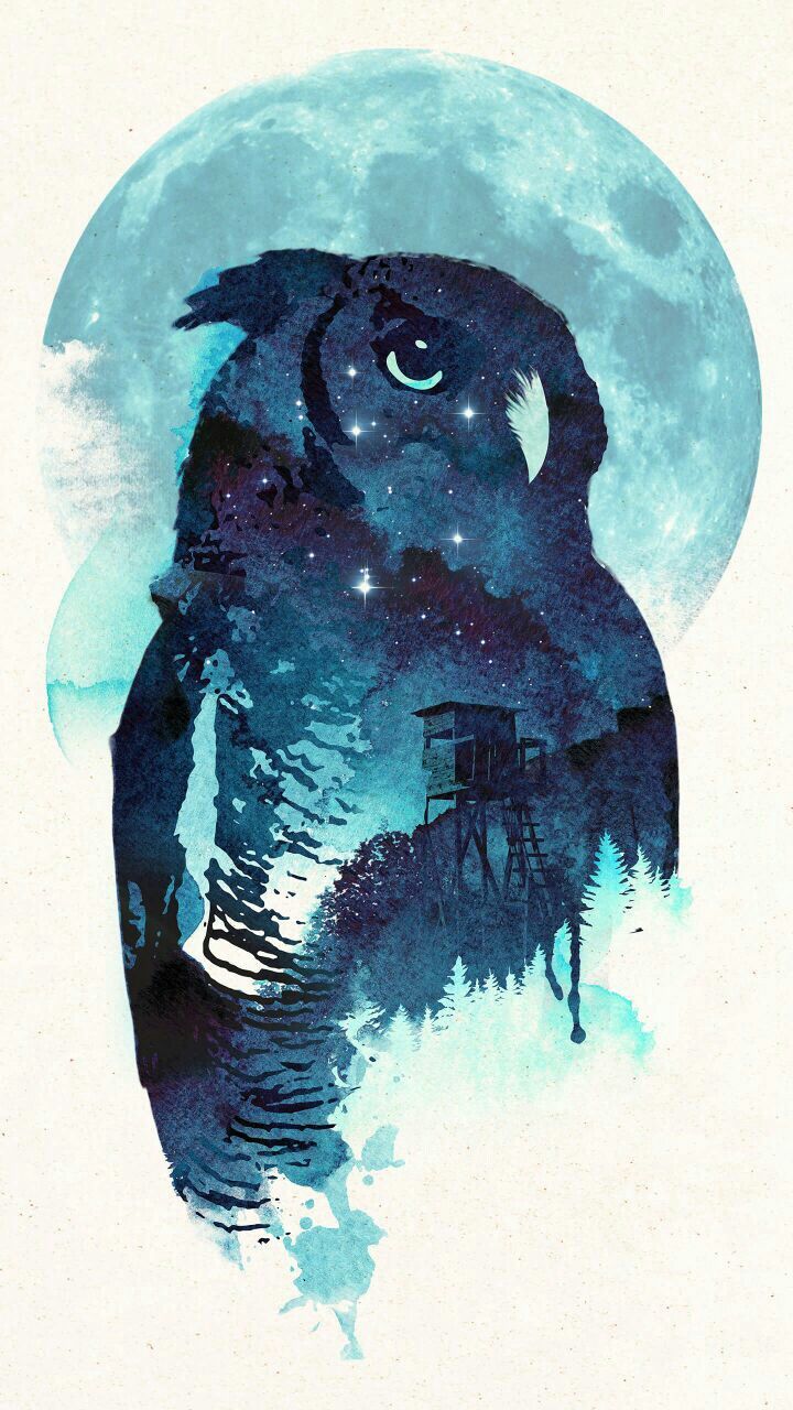 Harry Potter Owl Clipart Wallpapers