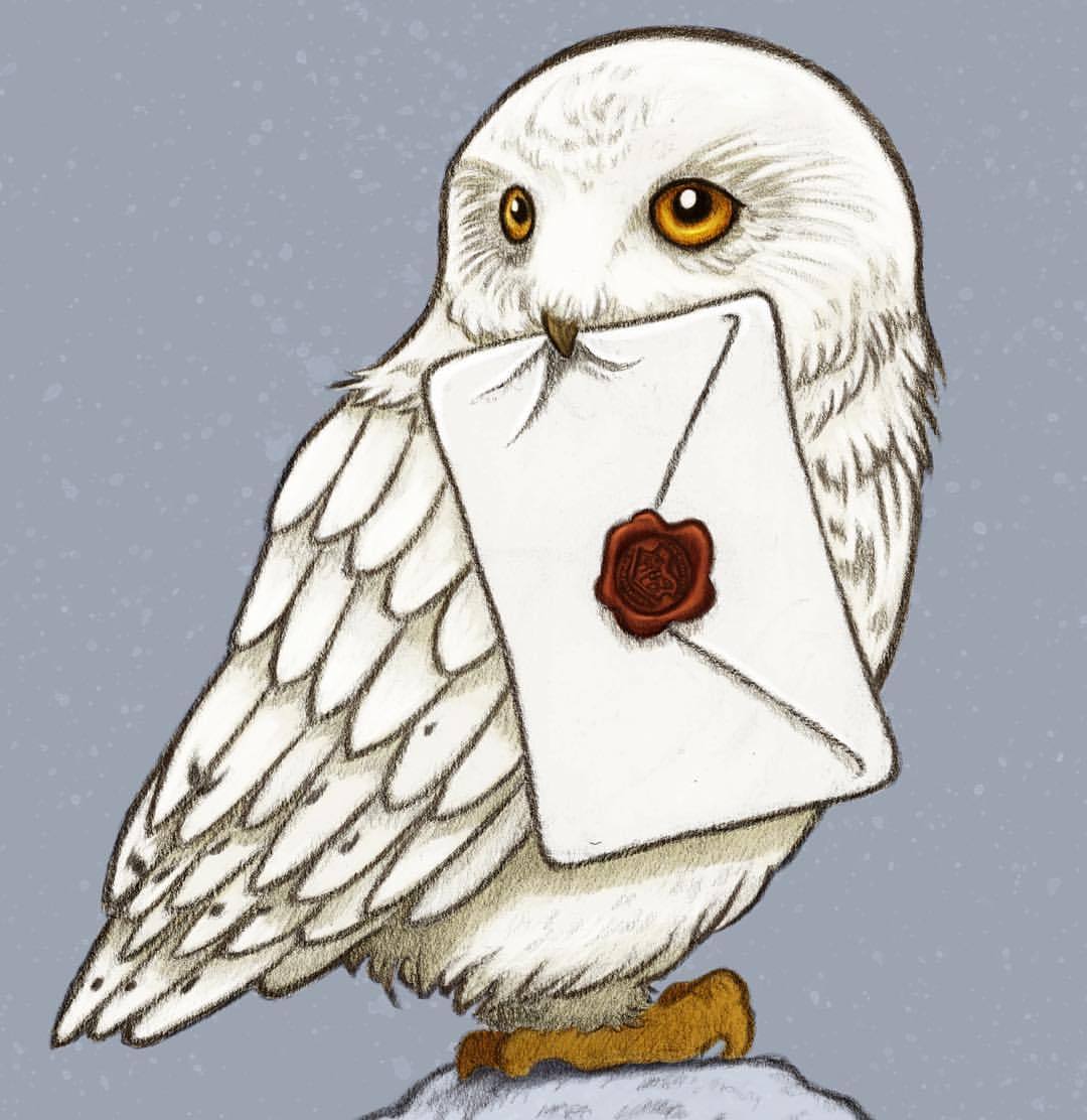 Harry Potter Owl Clipart Wallpapers