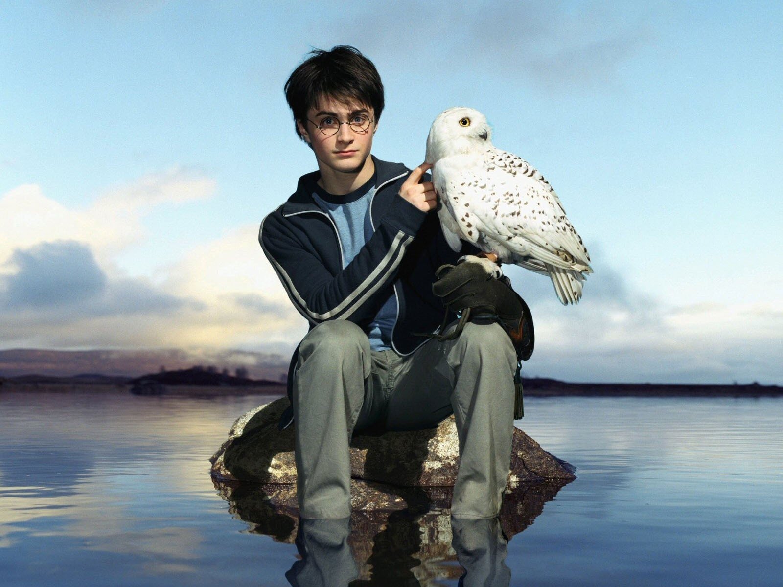 Harry Potter Owl Clipart Wallpapers