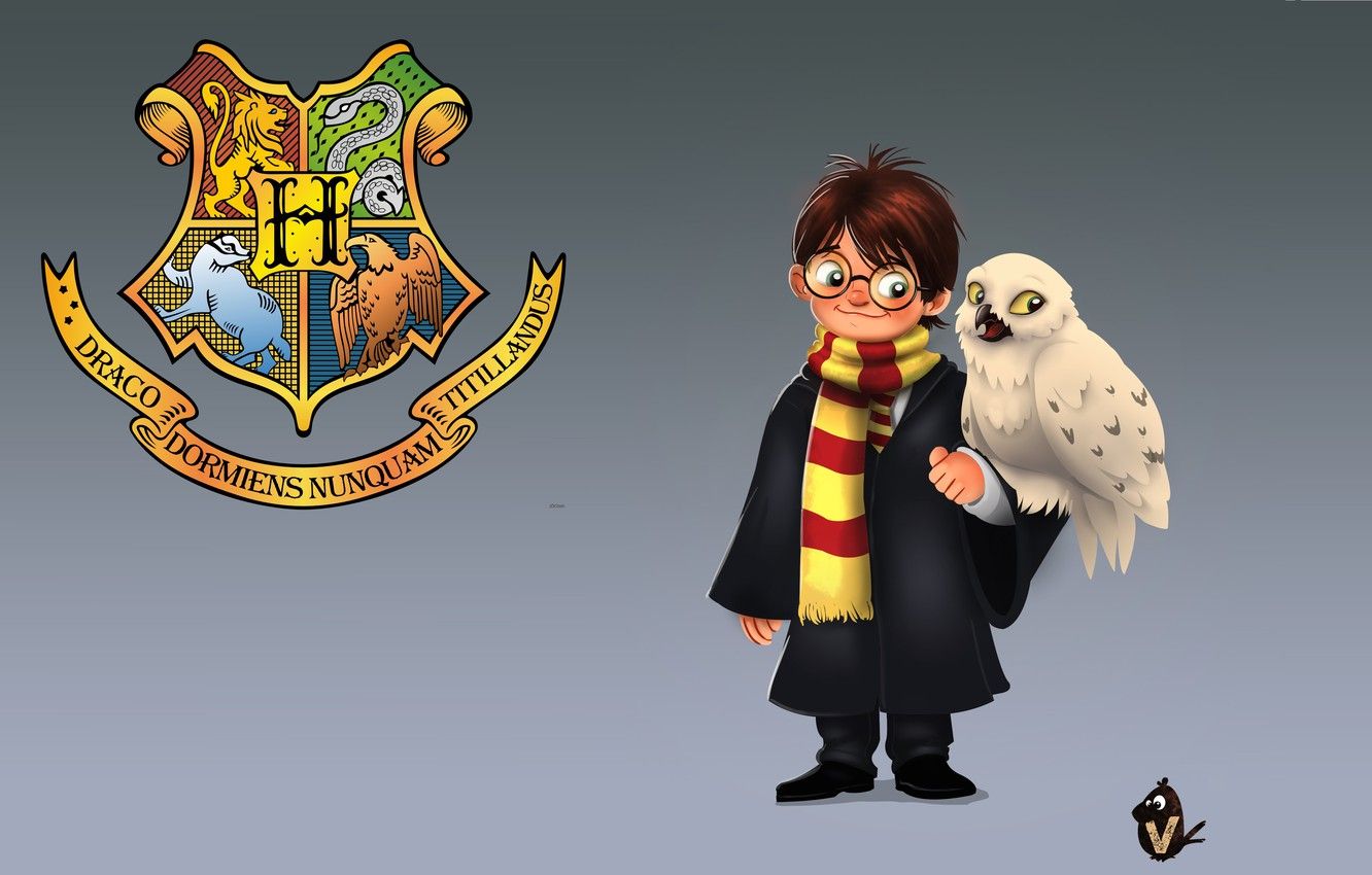 Harry Potter Owl Clipart Wallpapers