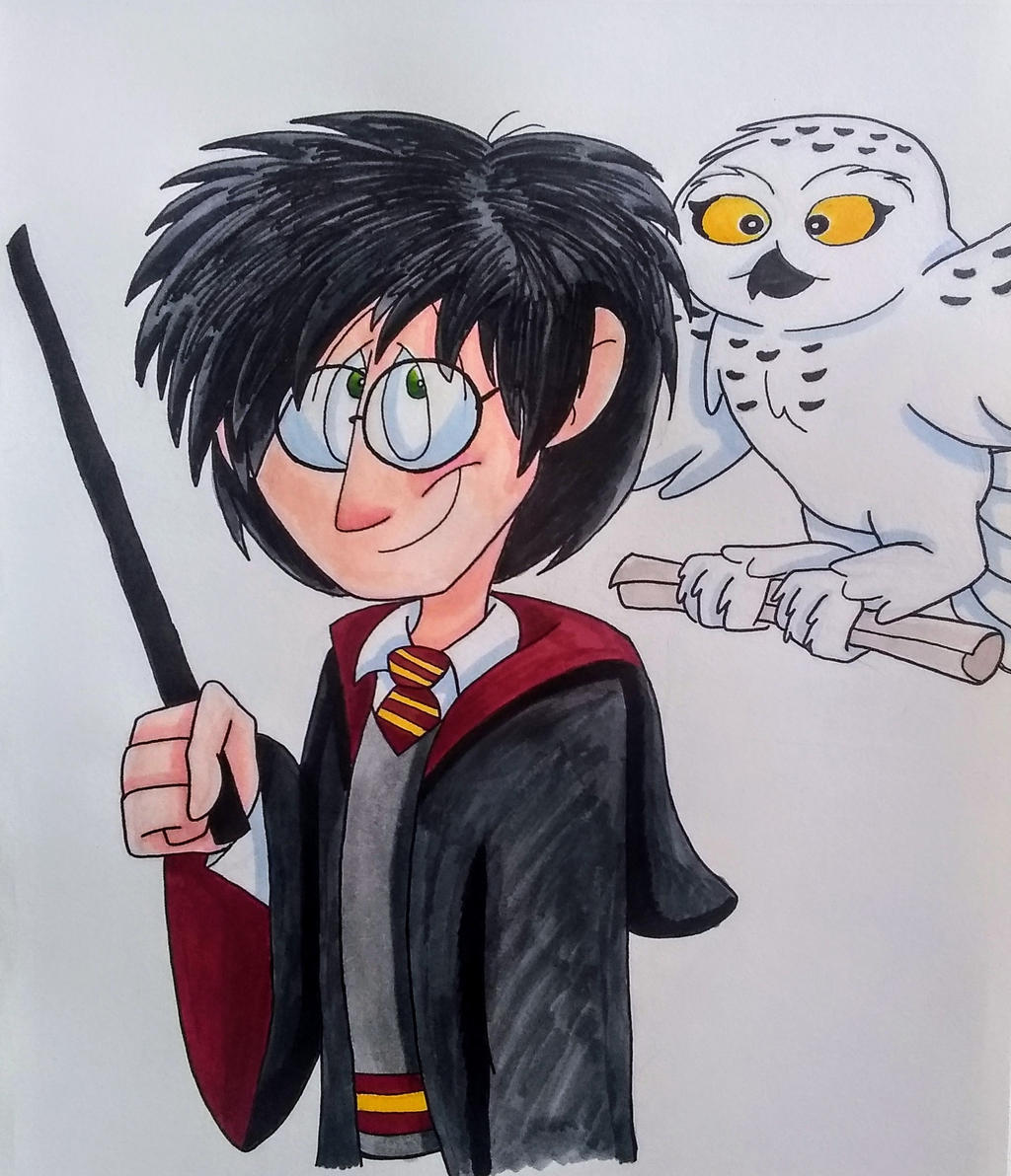 Harry Potter Owl Clipart Wallpapers