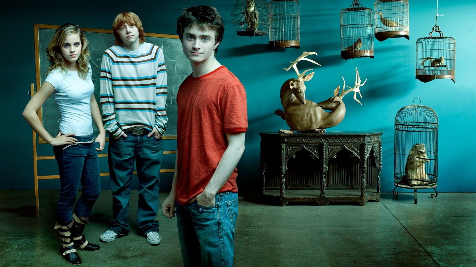 Harry Potter Picture Hd Wallpapers