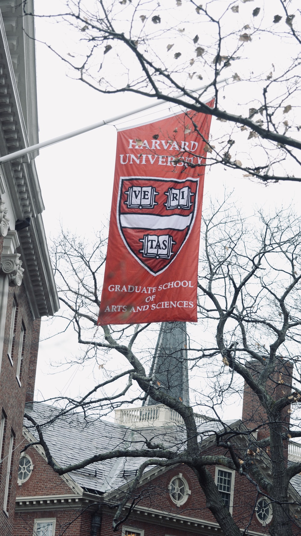 Harvard Wallpapers