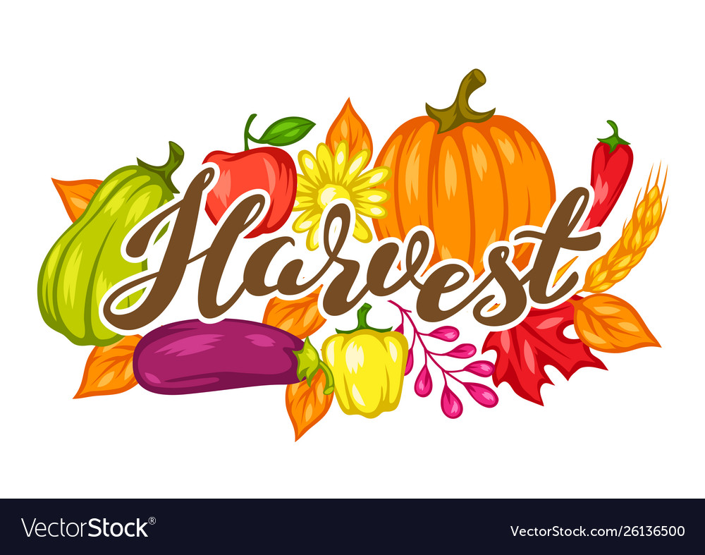 Harvest Festival Backgrounds