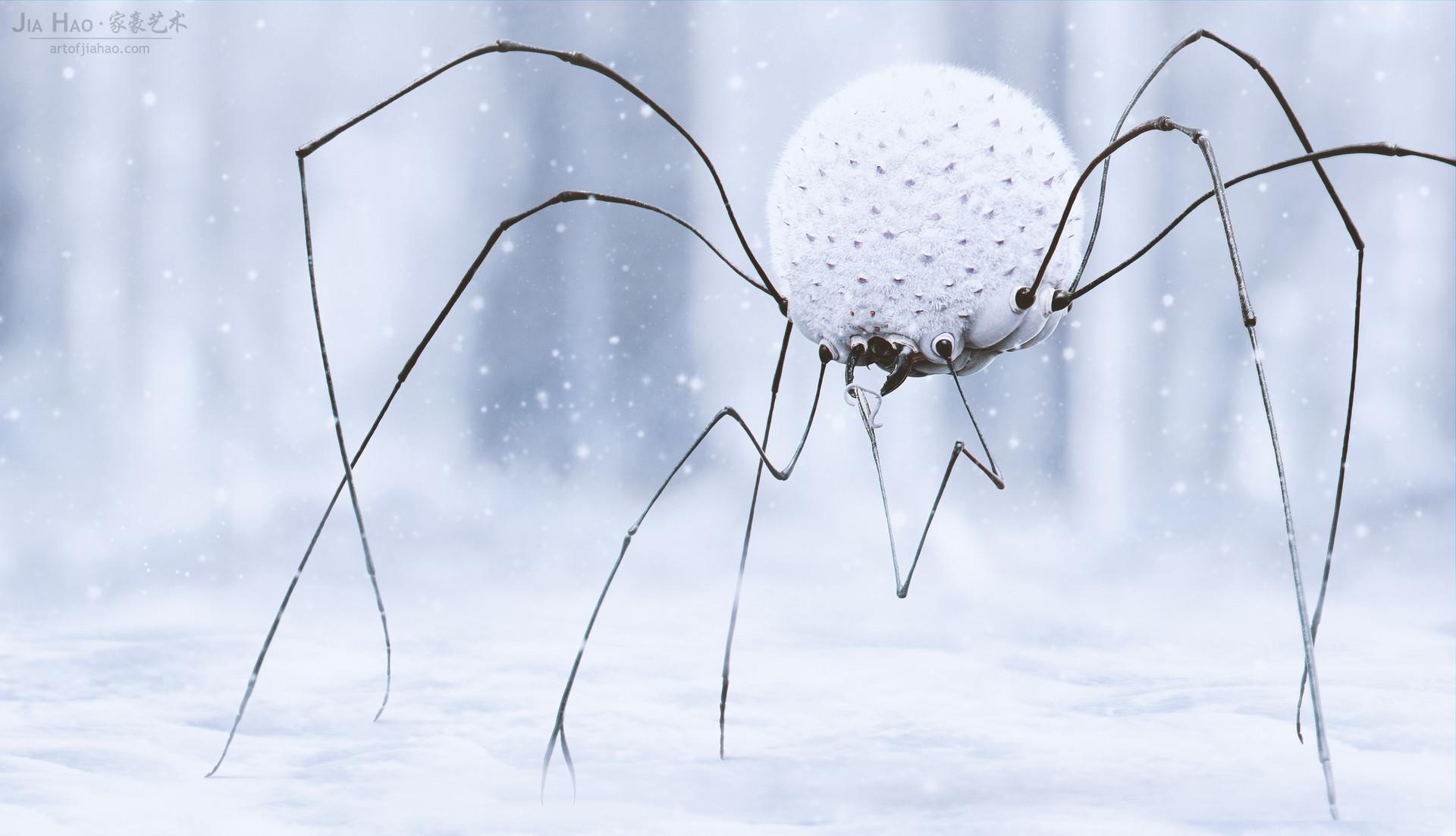 Harvestmen Wallpapers