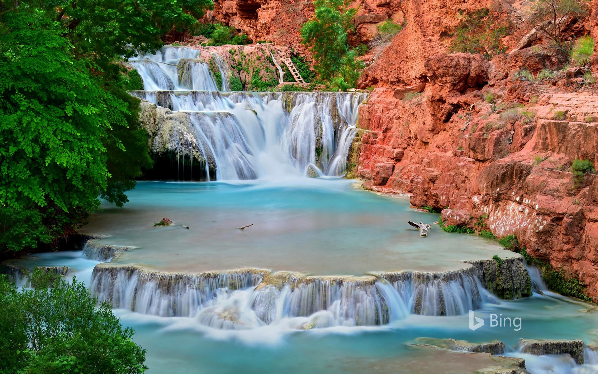 Havasu Falls Wallpapers