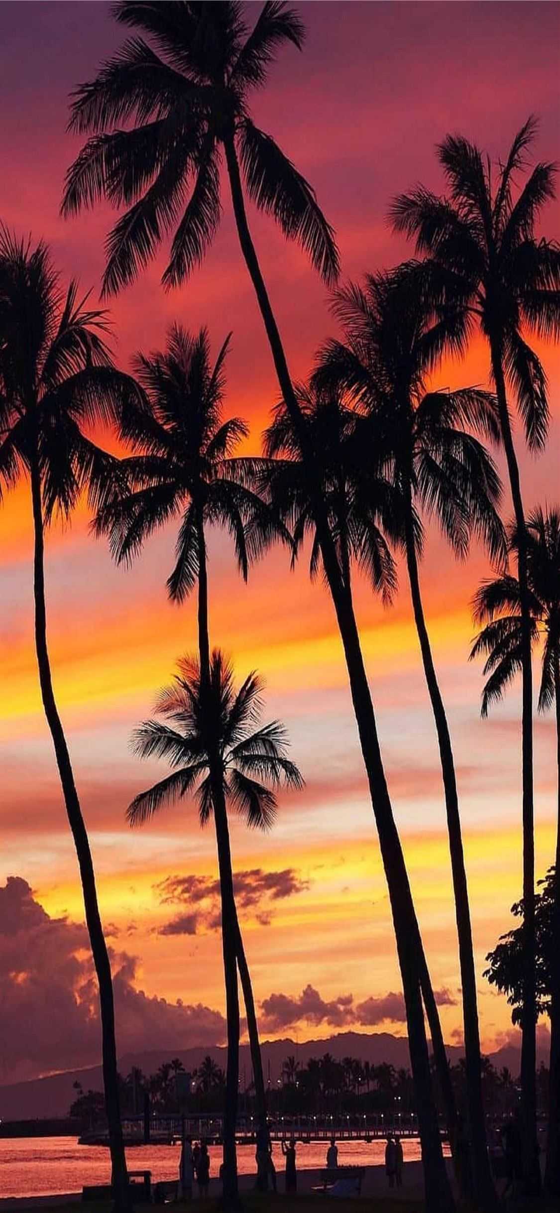 Hawaii Background