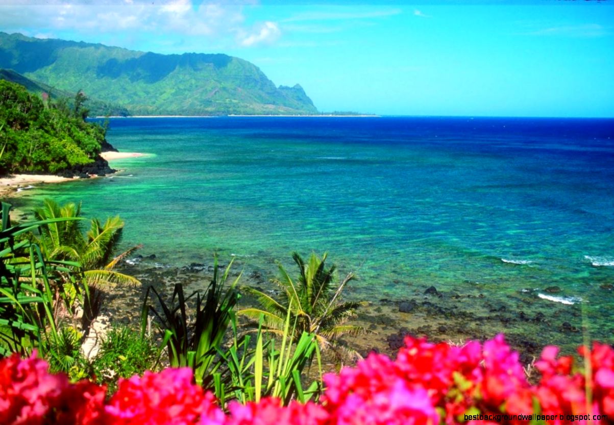 Hawaii Background