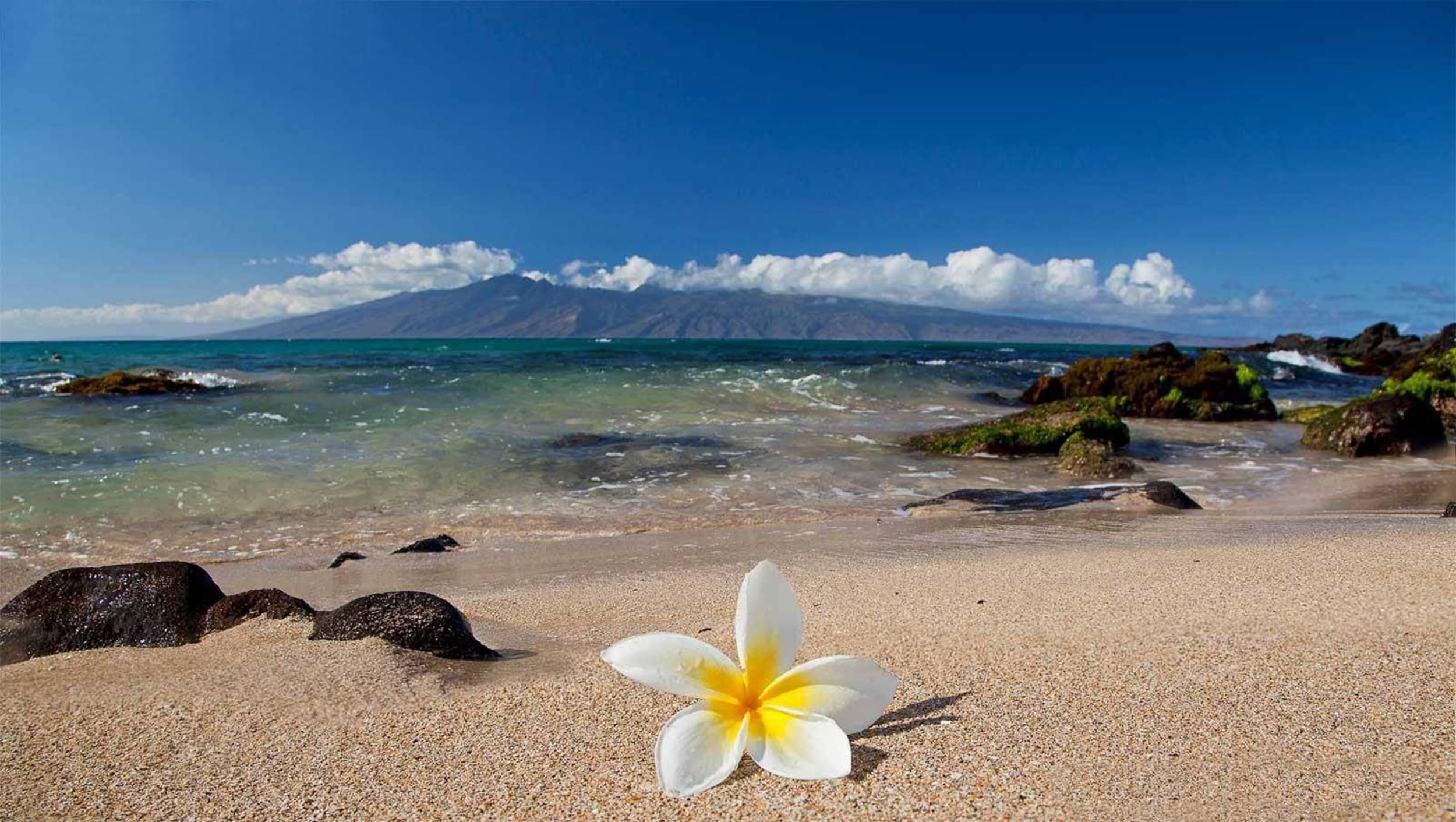 Hawaii Beach Iphone Wallpapers