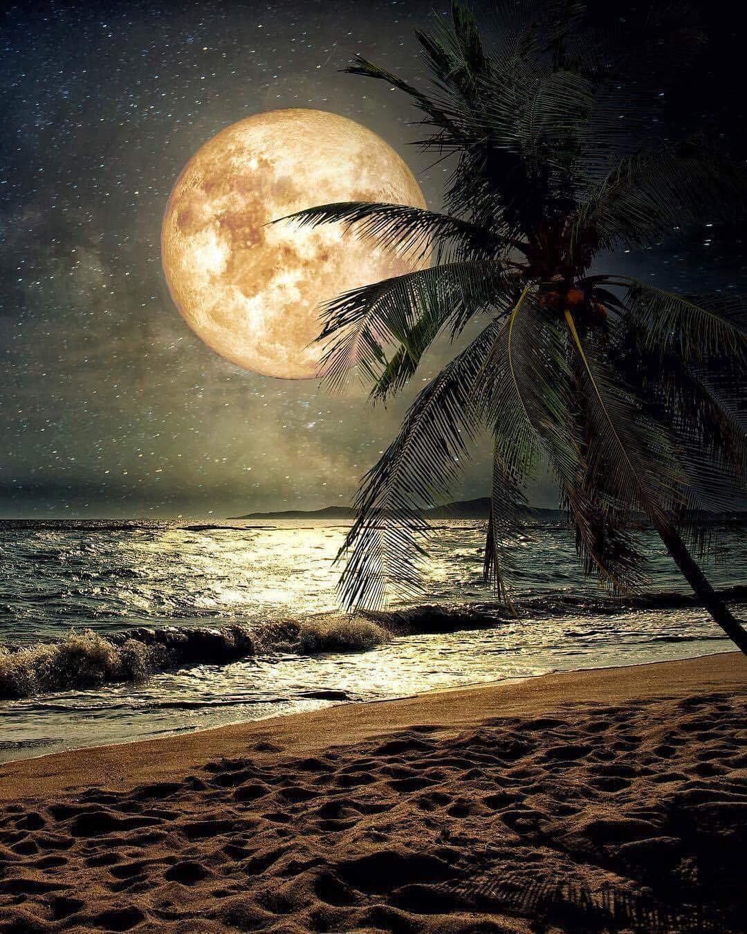 Hawaii Beaches At Night Wallpapers