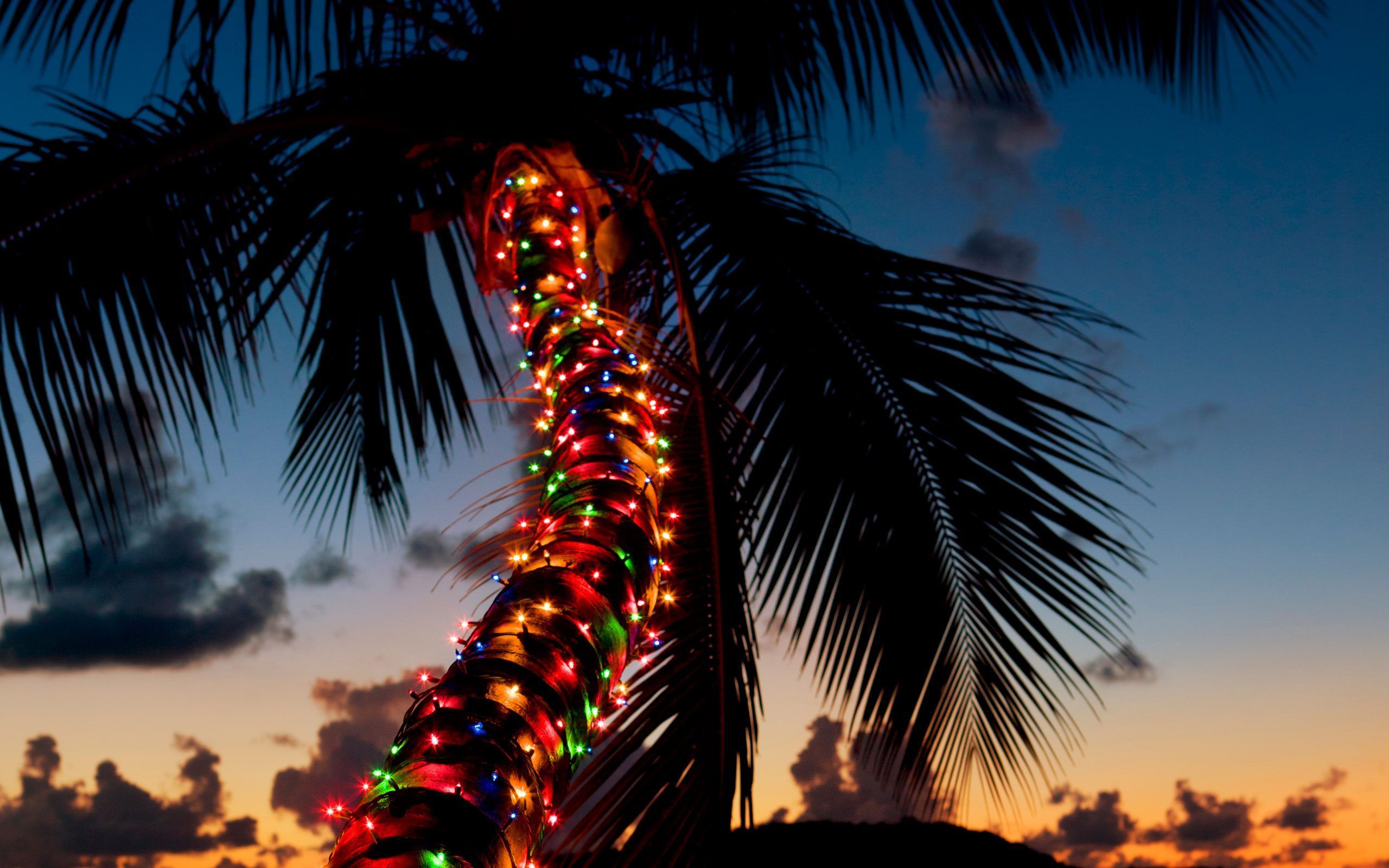 Hawaii Christmas Wallpapers