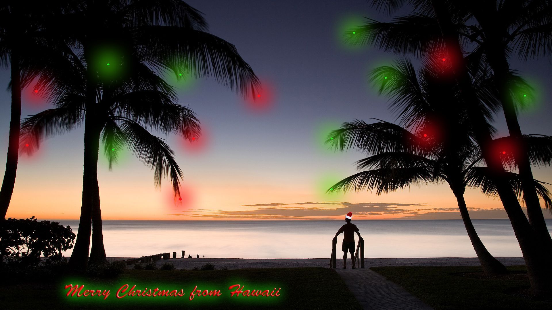 Hawaii Christmas Wallpapers