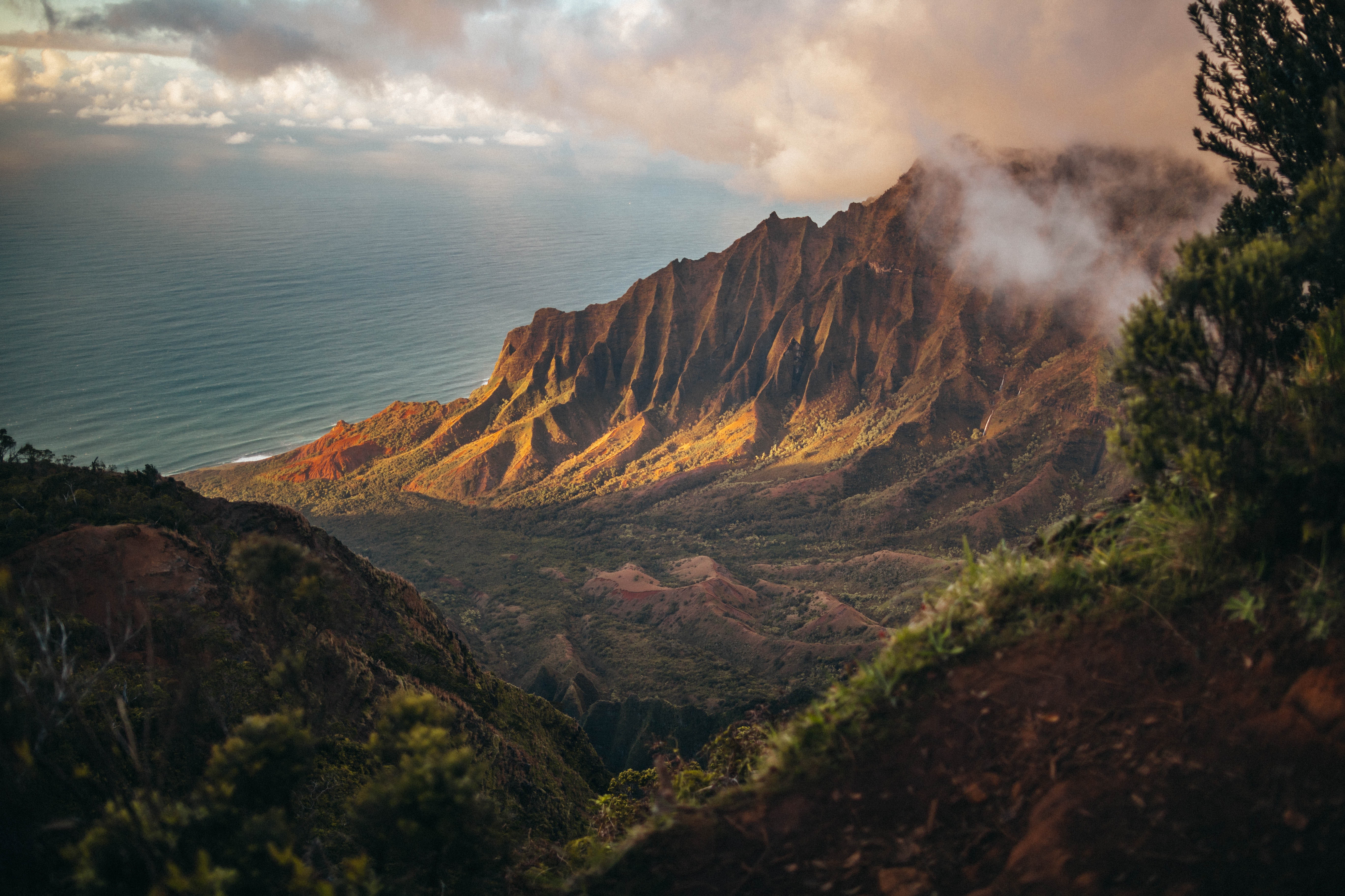 Hawaii Forest Wallpapers