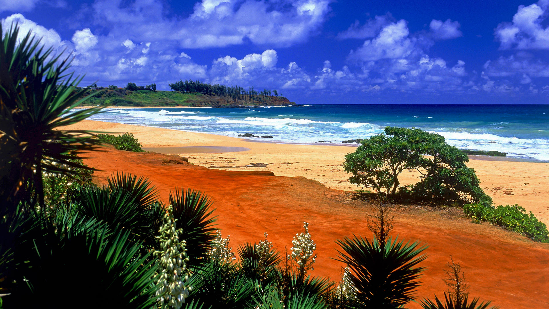 Hawaii Scenery Wallpapers