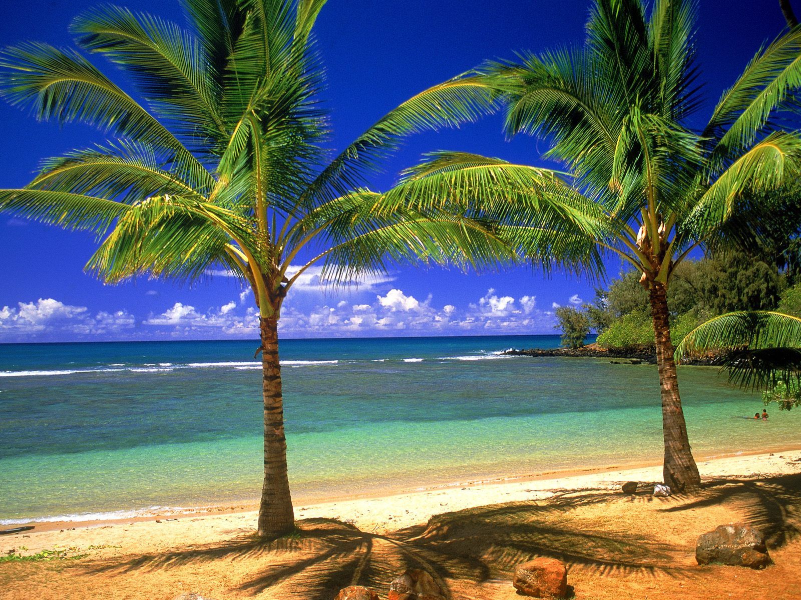 Hawaii Scenery Wallpapers