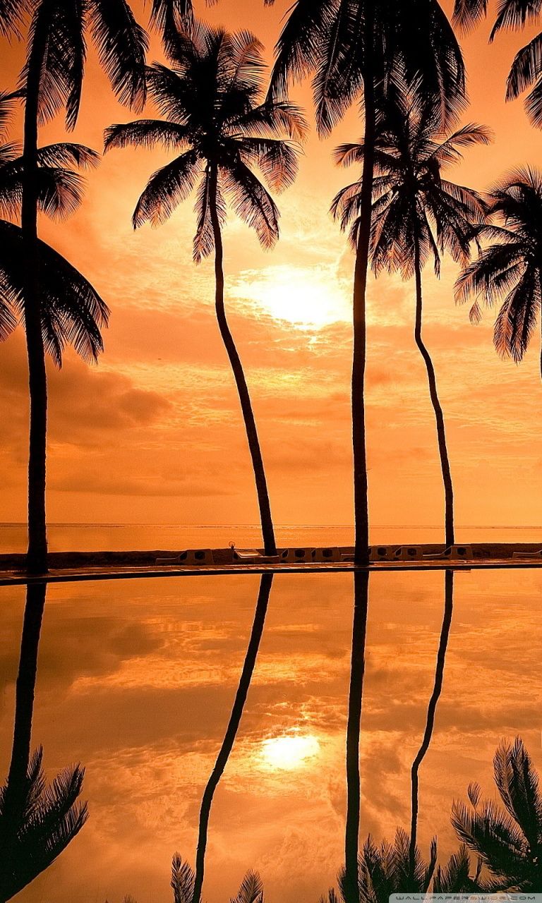 Hawaii Sunrise Wallpapers