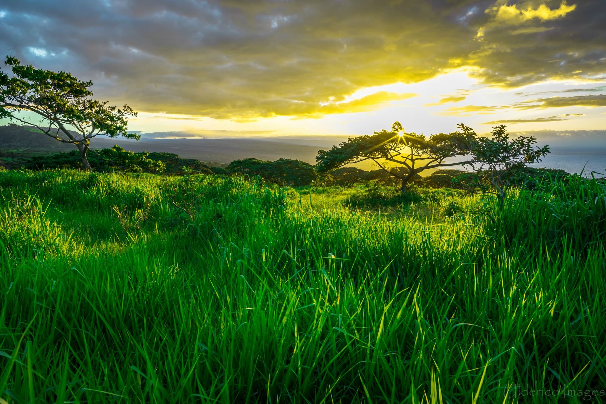 Hawaii Sunrise Wallpapers