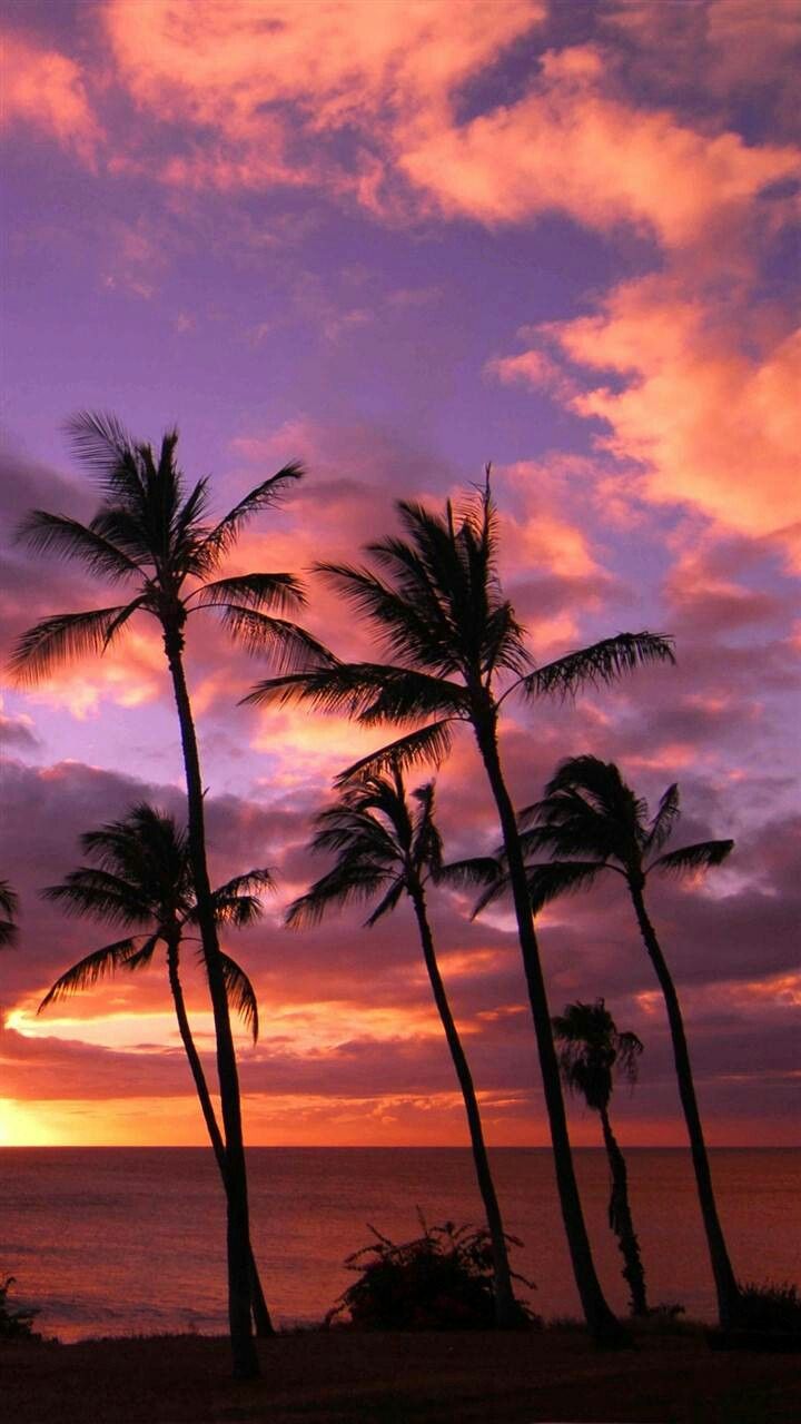 Hawaii Sunrise Wallpapers