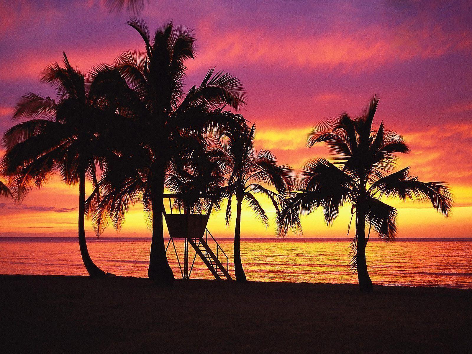 Hawaii Sunset Wallpapers