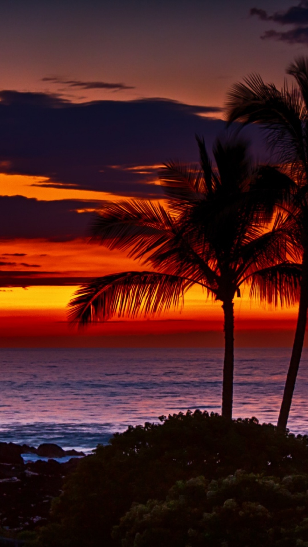 Hawaii Sunset Wallpapers