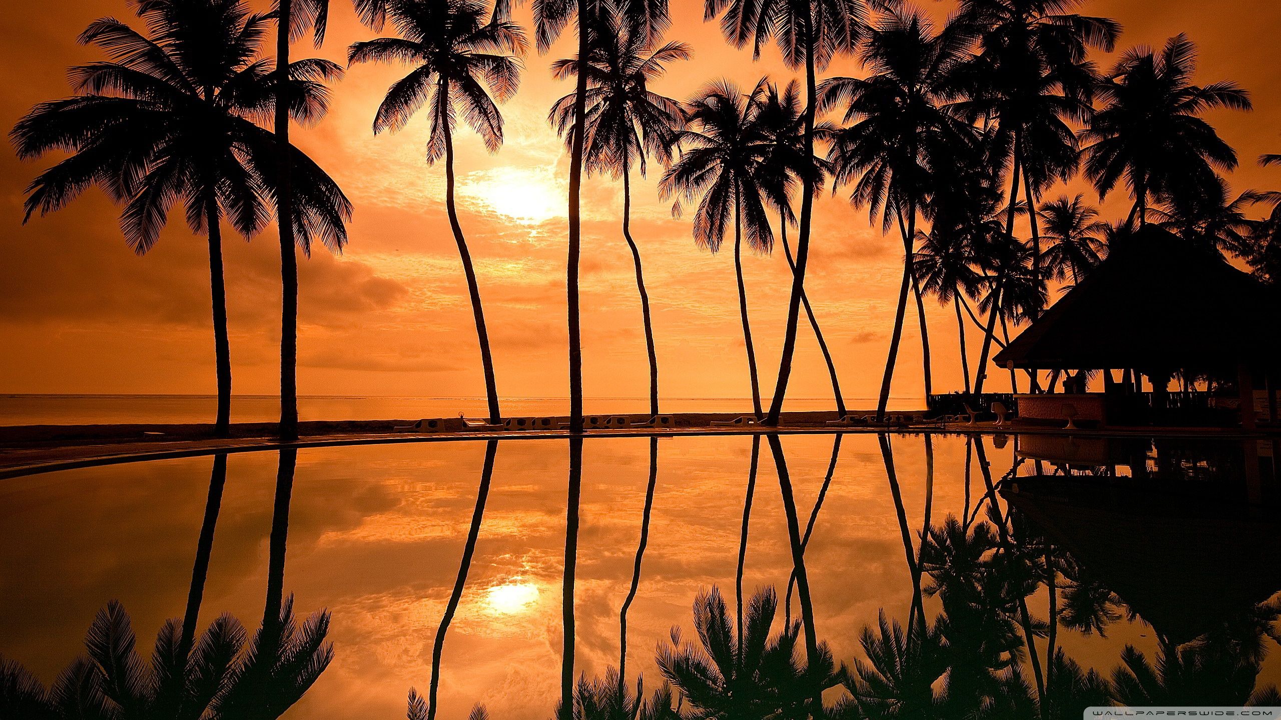 Hawaii Sunset Wallpapers