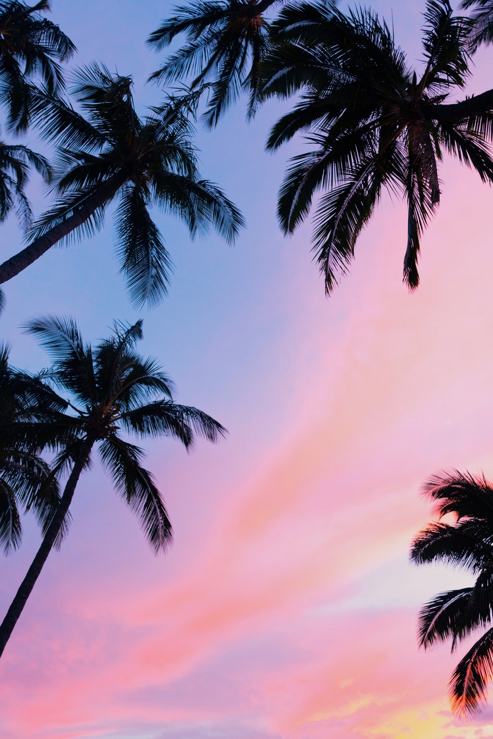 Hawaii Sunset Wallpapers