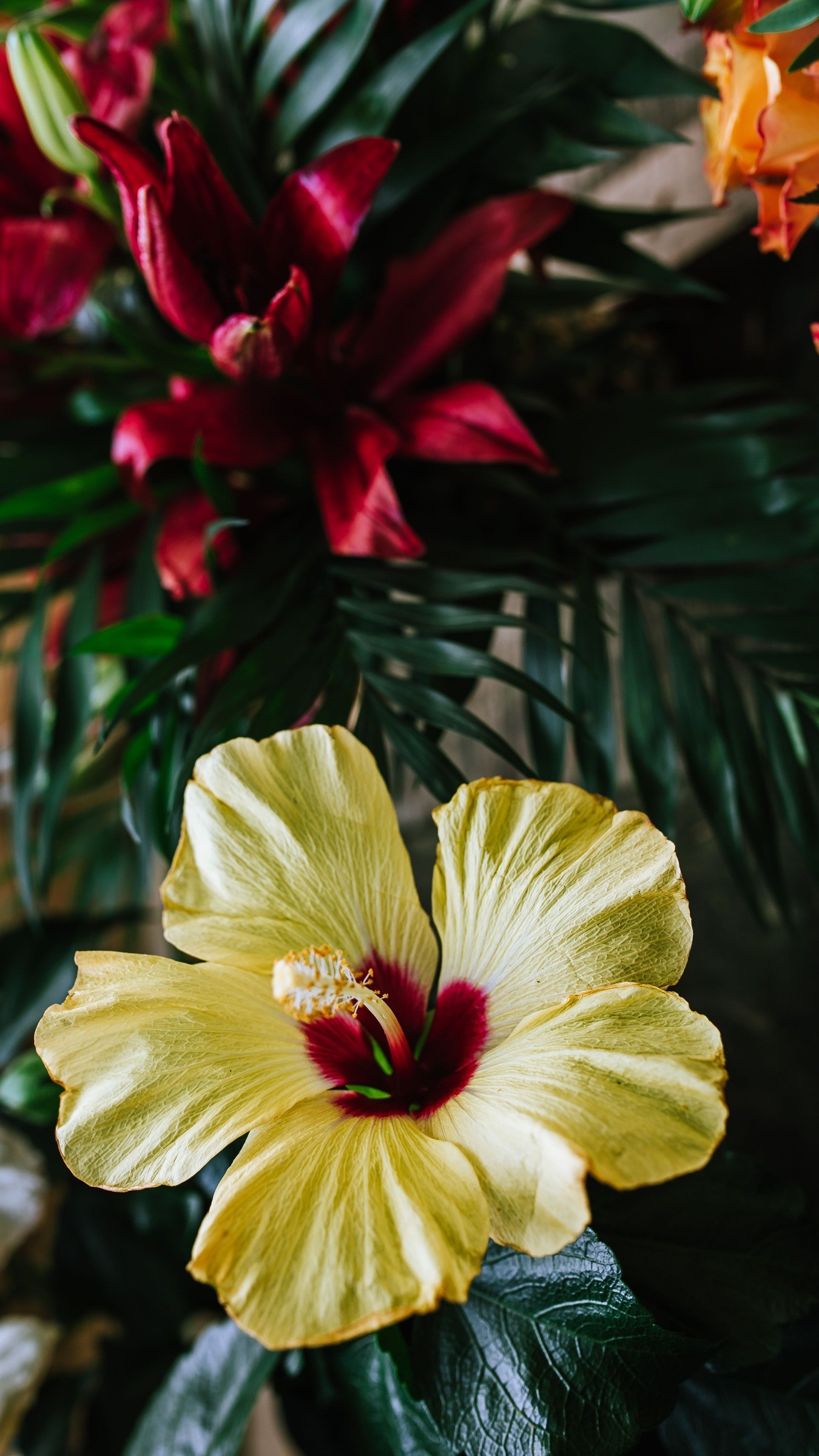 Hawaiian Floral Wallpapers