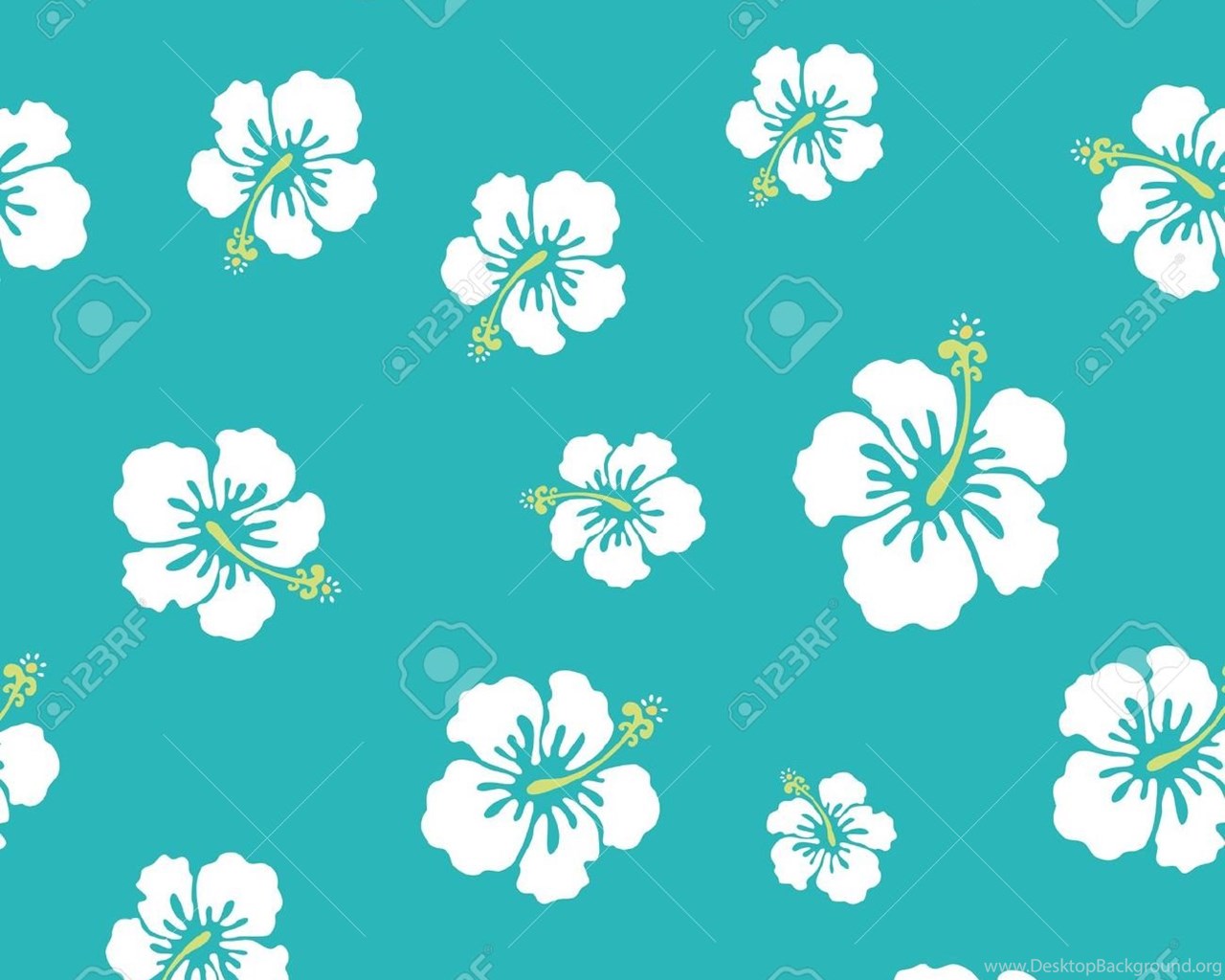 Hawaiian Flowers Wallpapers