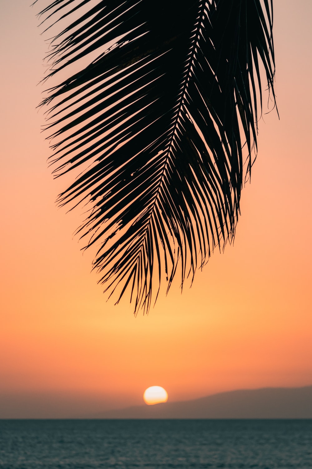 Hawaiian Wallpapers