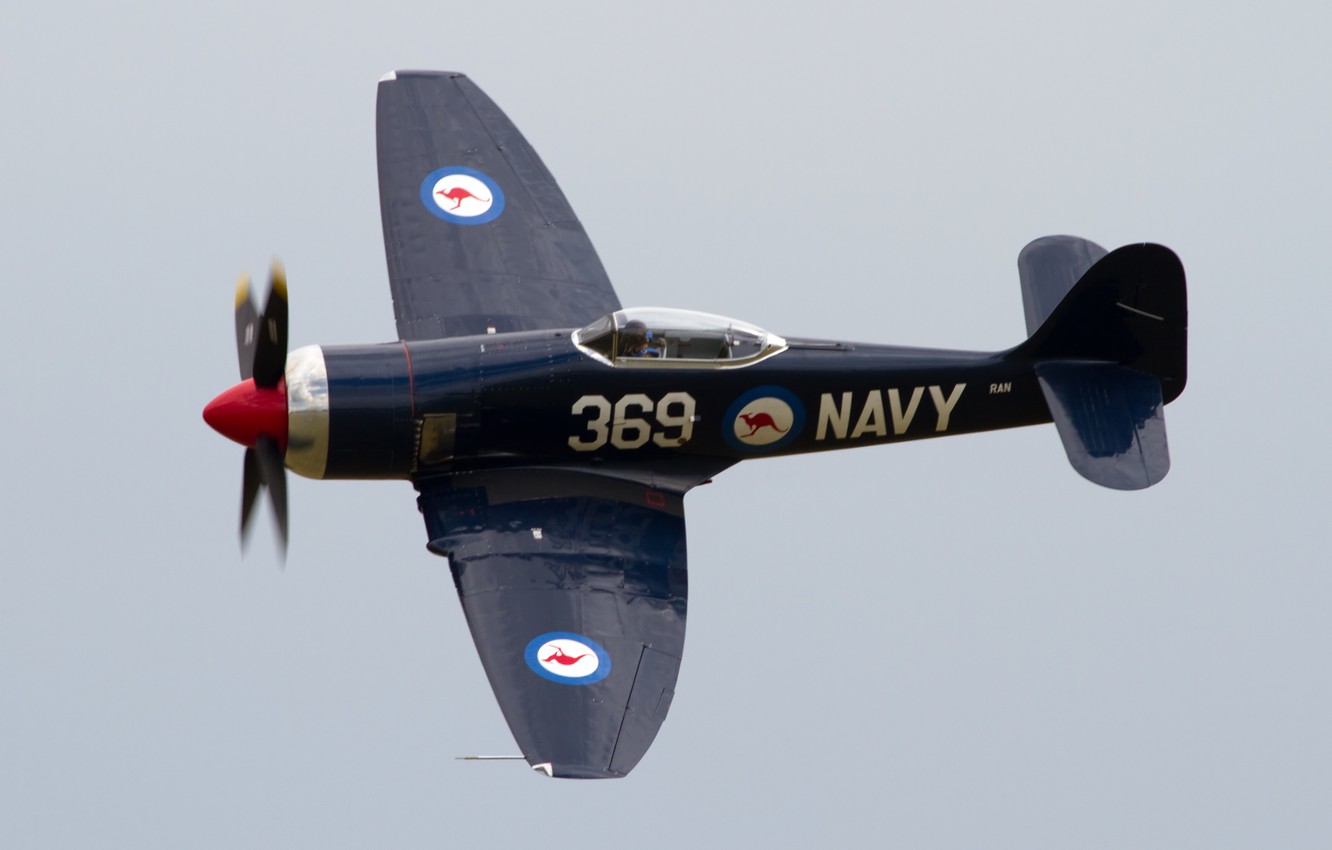 Hawker Sea Fury Wallpapers