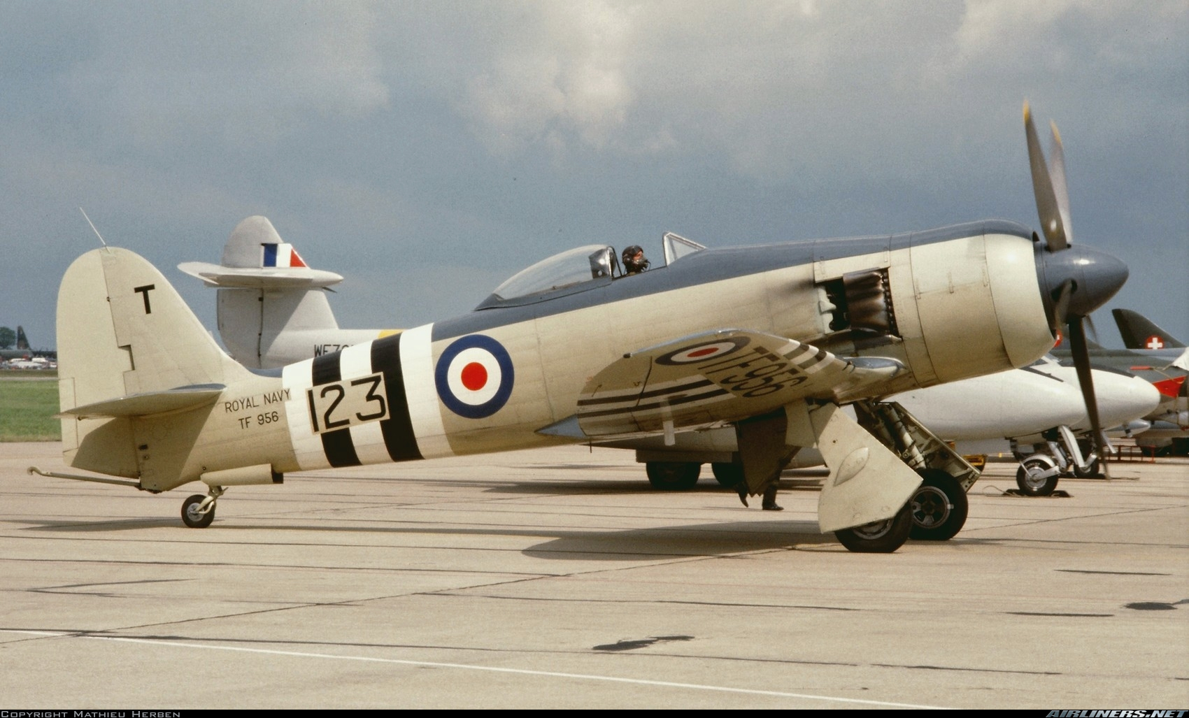 Hawker Sea Fury Wallpapers