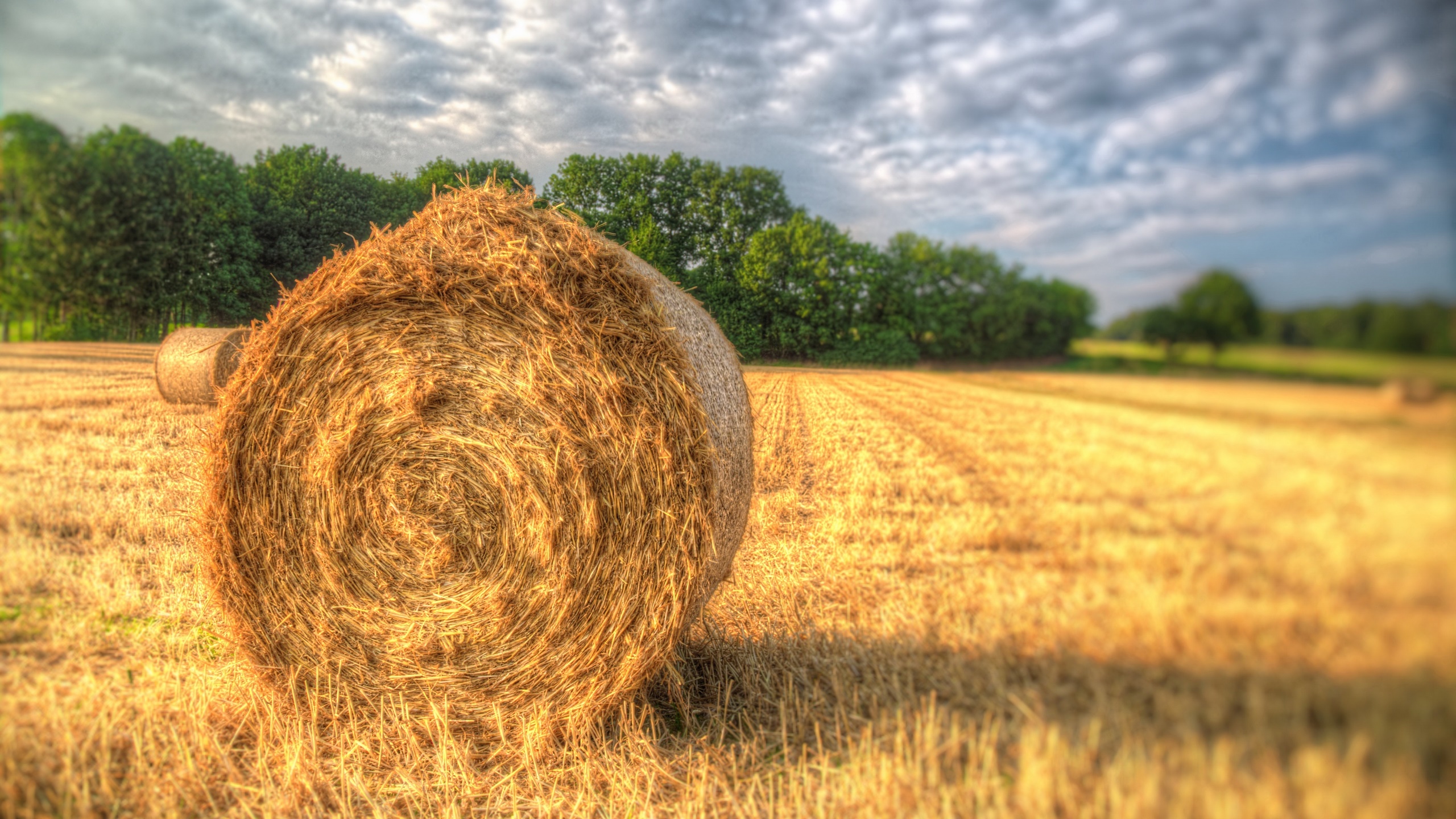 Hay Baler Wallpapers