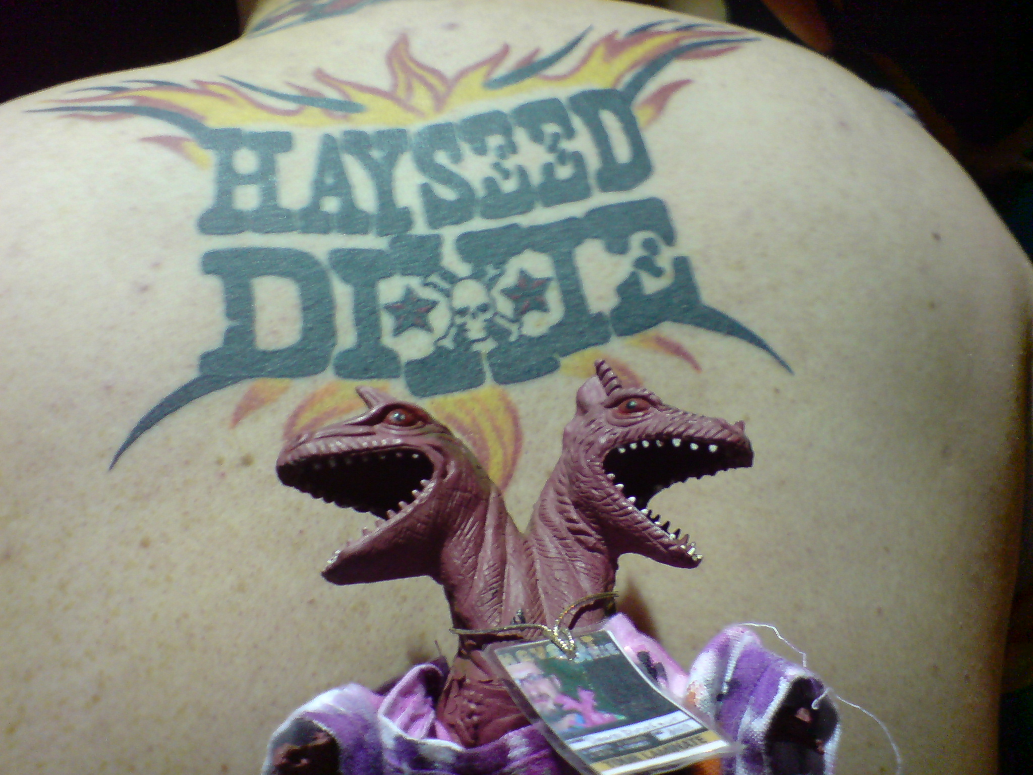 Hayseed Dixie Wallpapers