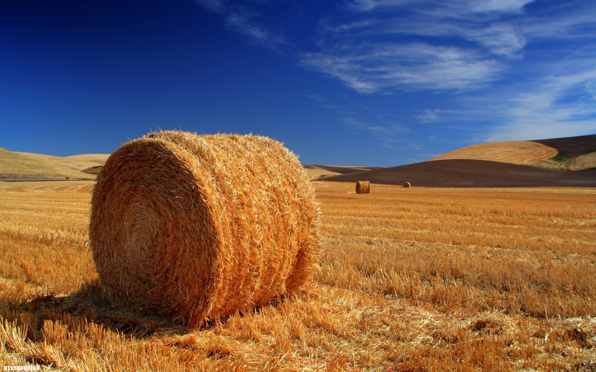 Haystack 4K Field Wallpapers