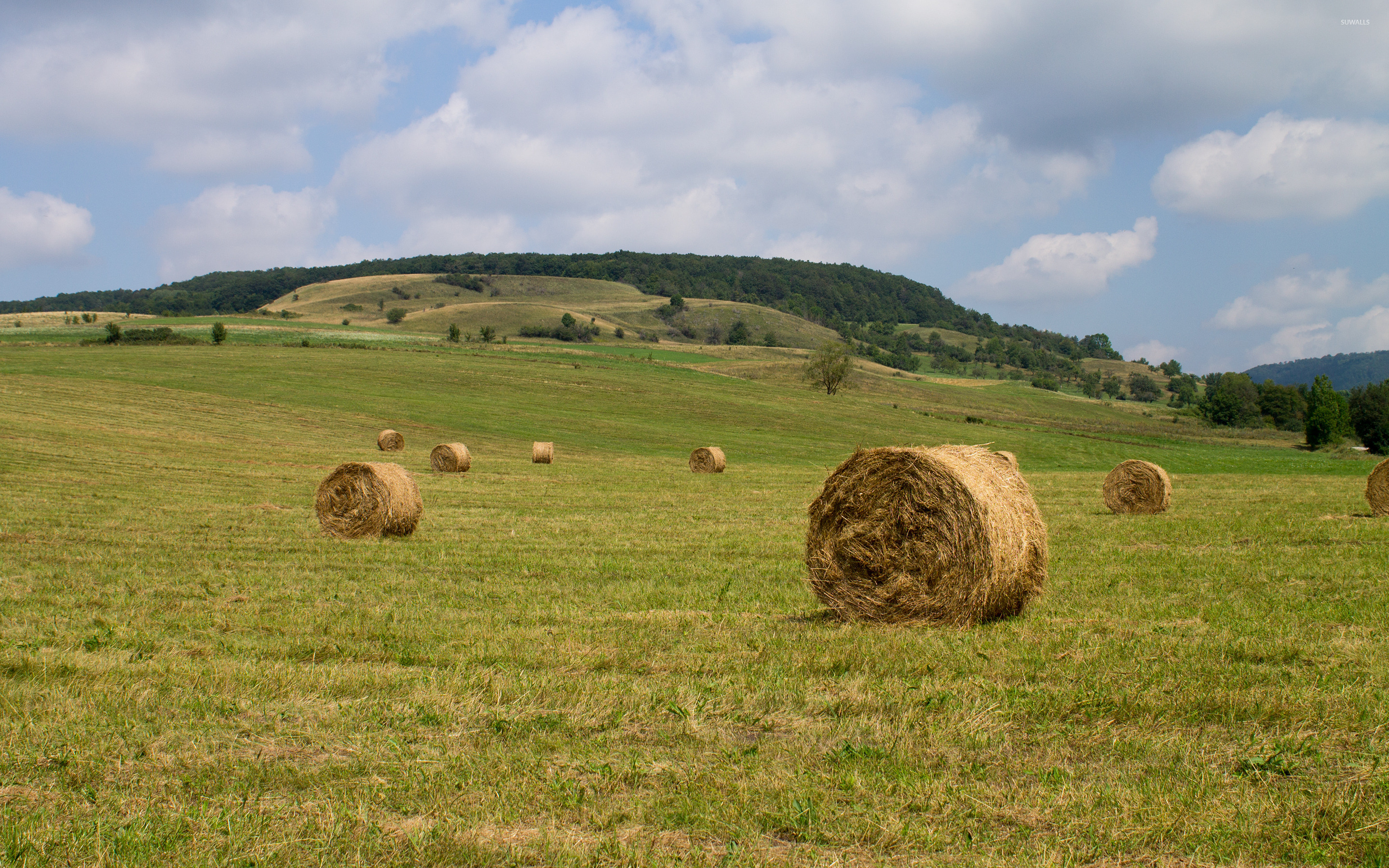 Haystack 4K Field Wallpapers