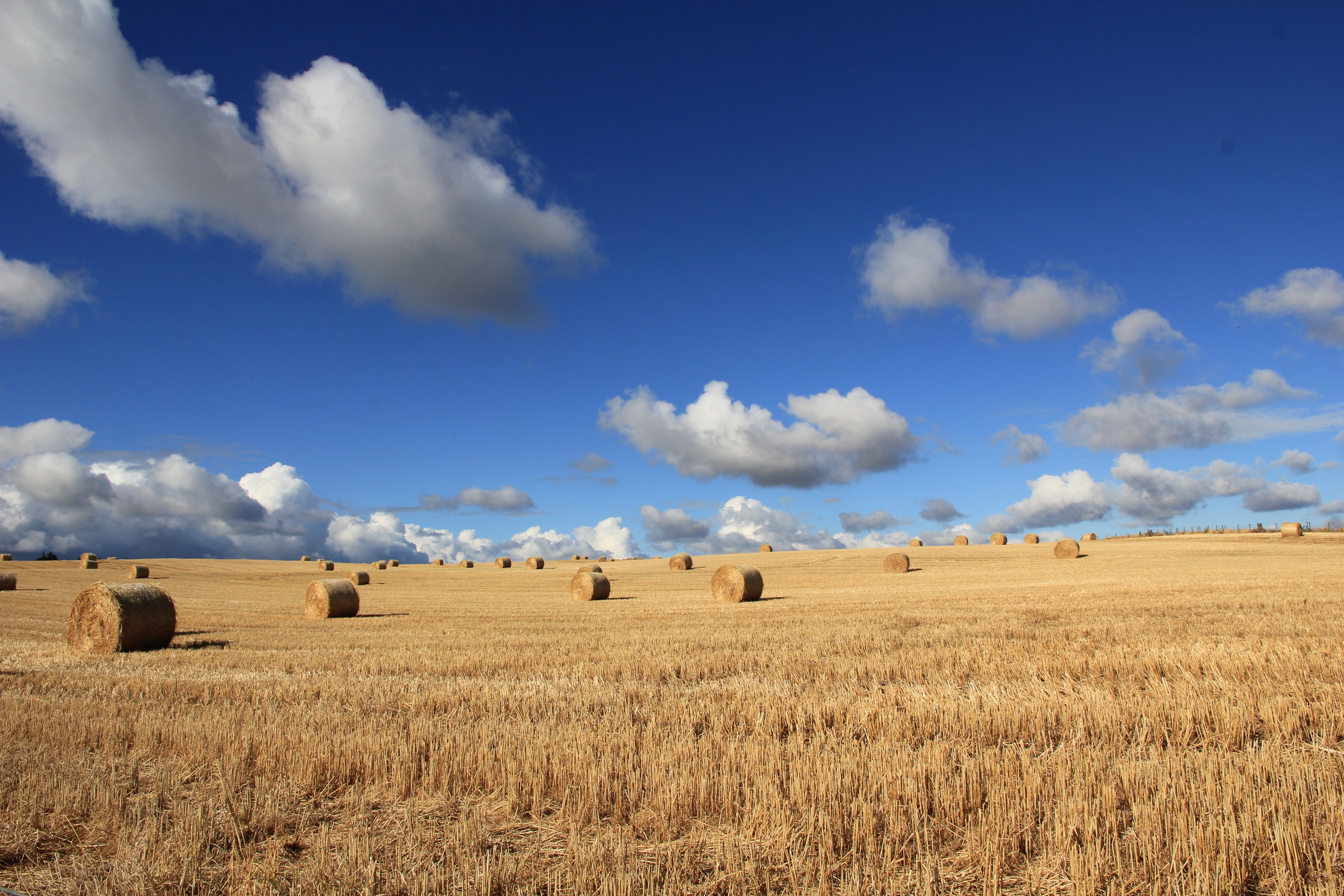 Haystack 4K Field Wallpapers