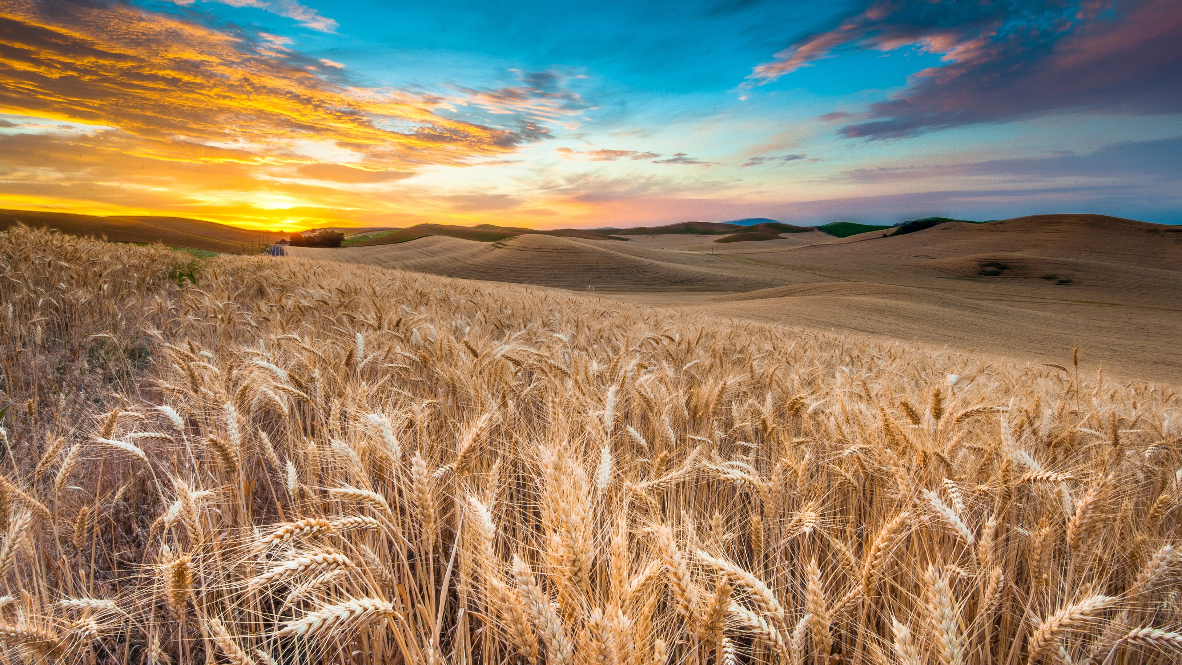 Haystack 4K Field Wallpapers