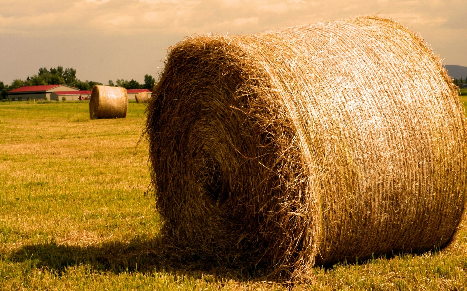 Haystack Wallpapers