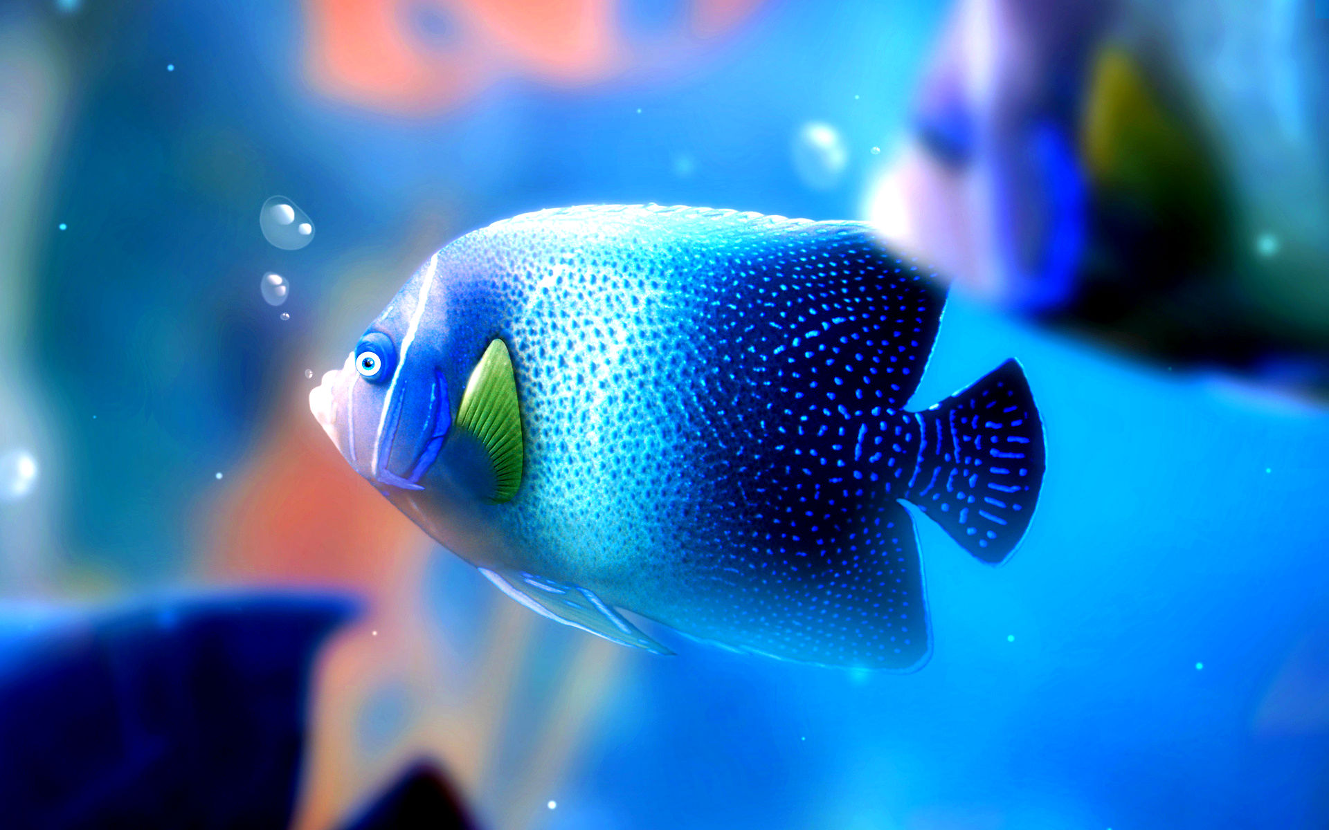 Hd Fish Wallpapers