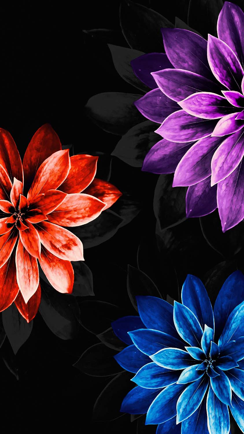 Hd Flowers Wallpapers