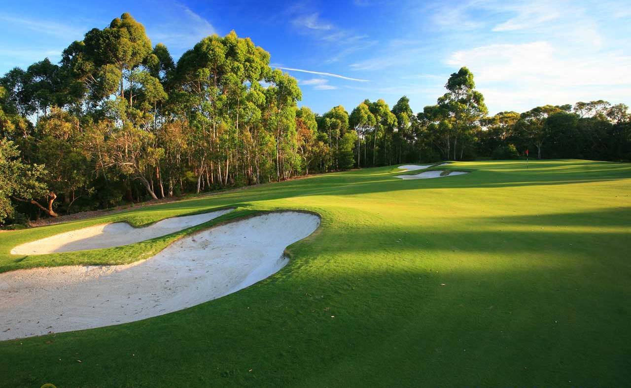 Hd Golf Course Background