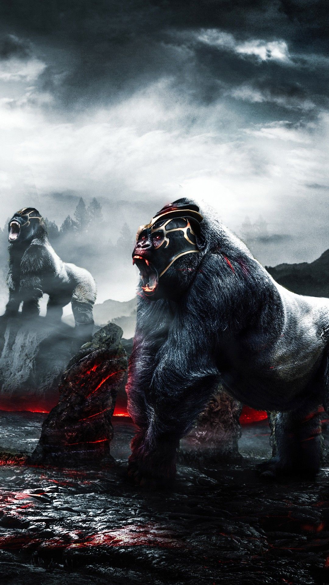 Hd Gorilla Wallpapers