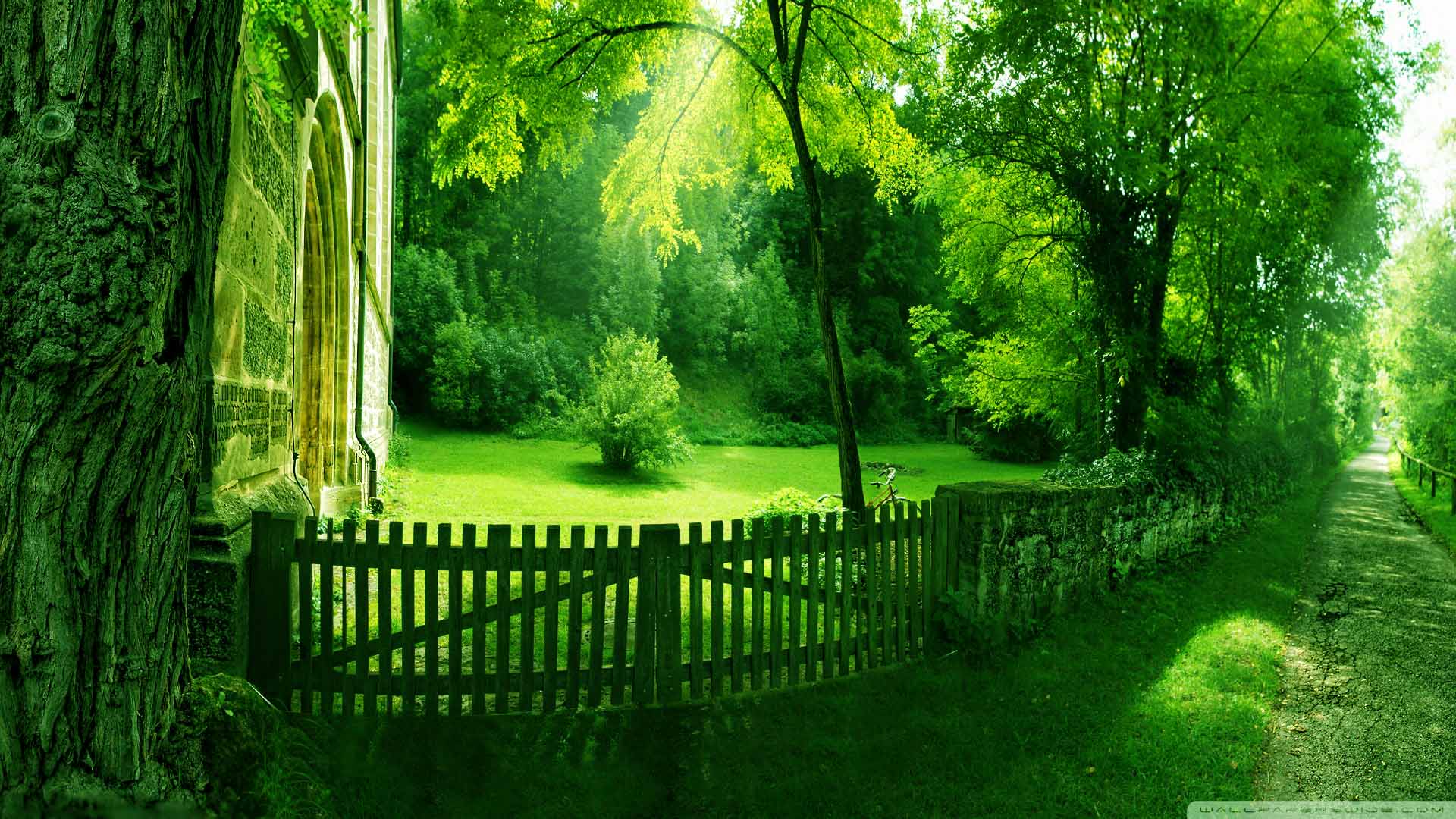 Hd Nature Backgrounds