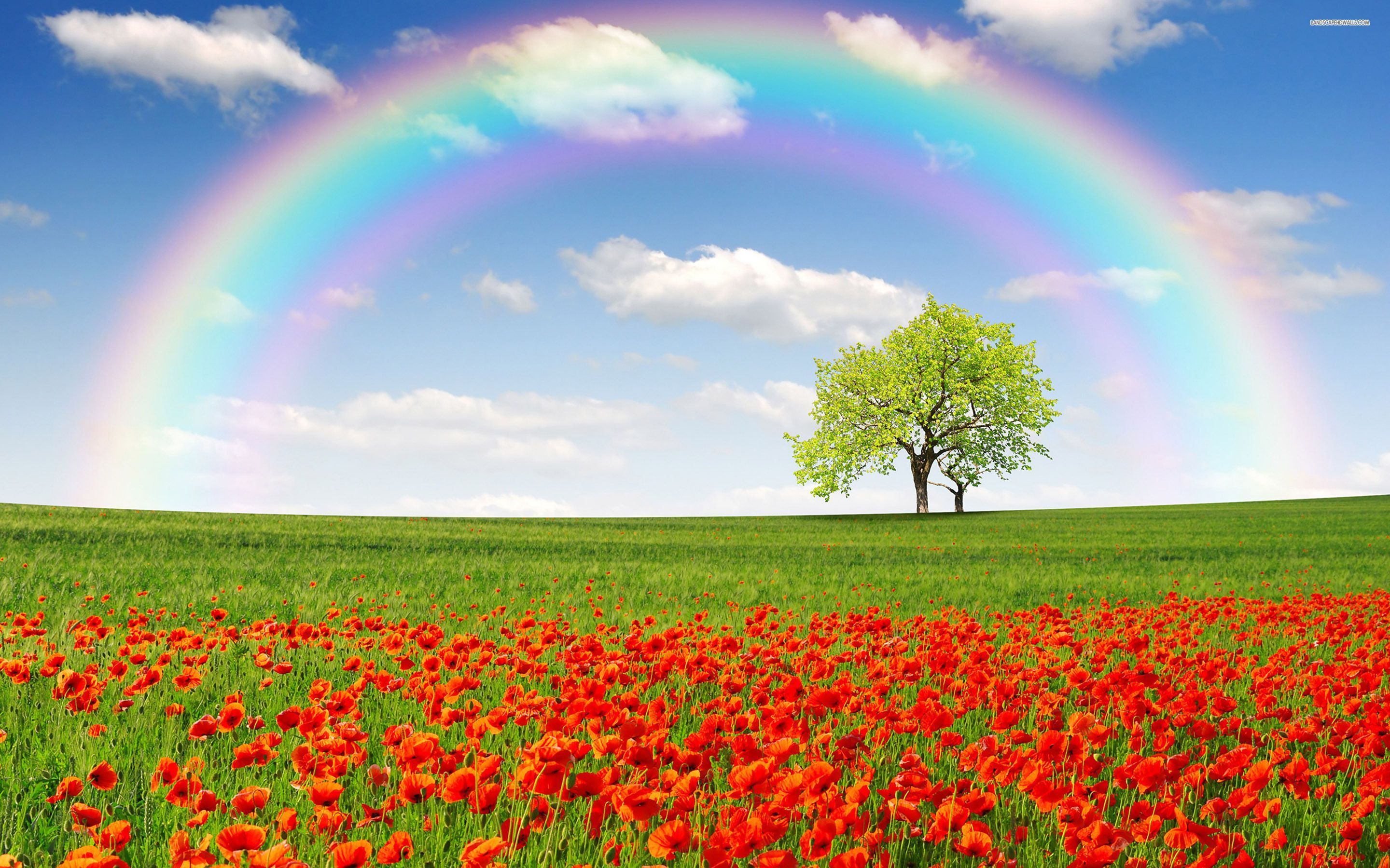 Hd Rainbow Wallpapers