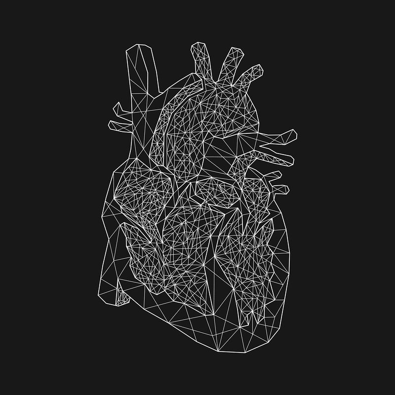 Heart Anatomy Wallpapers