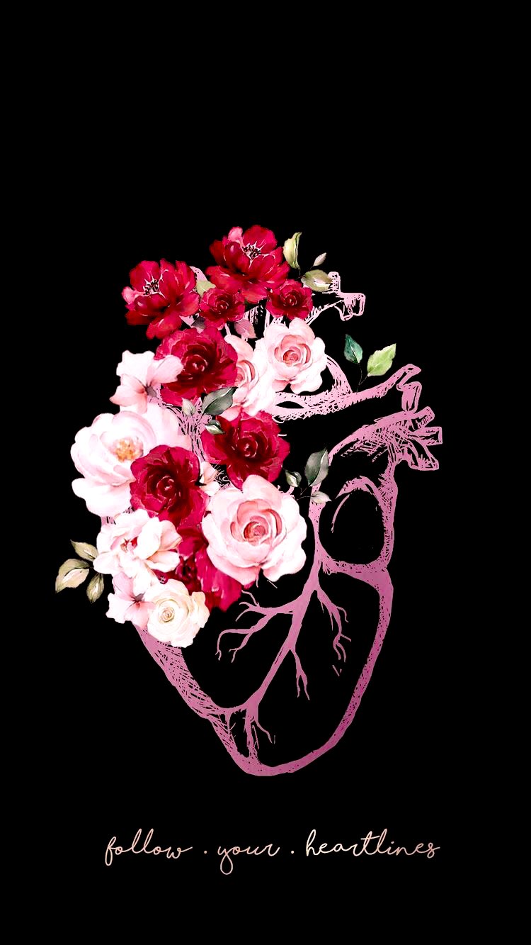 Heart Anatomy Wallpapers