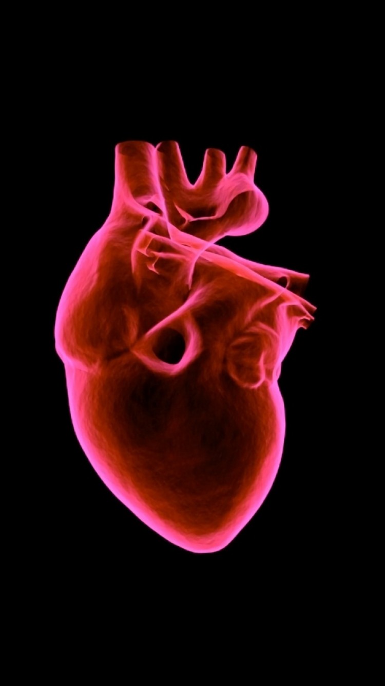 Heart Anatomy Wallpapers