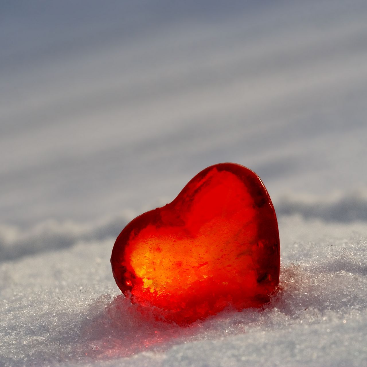 Heart In The Snow Wallpapers