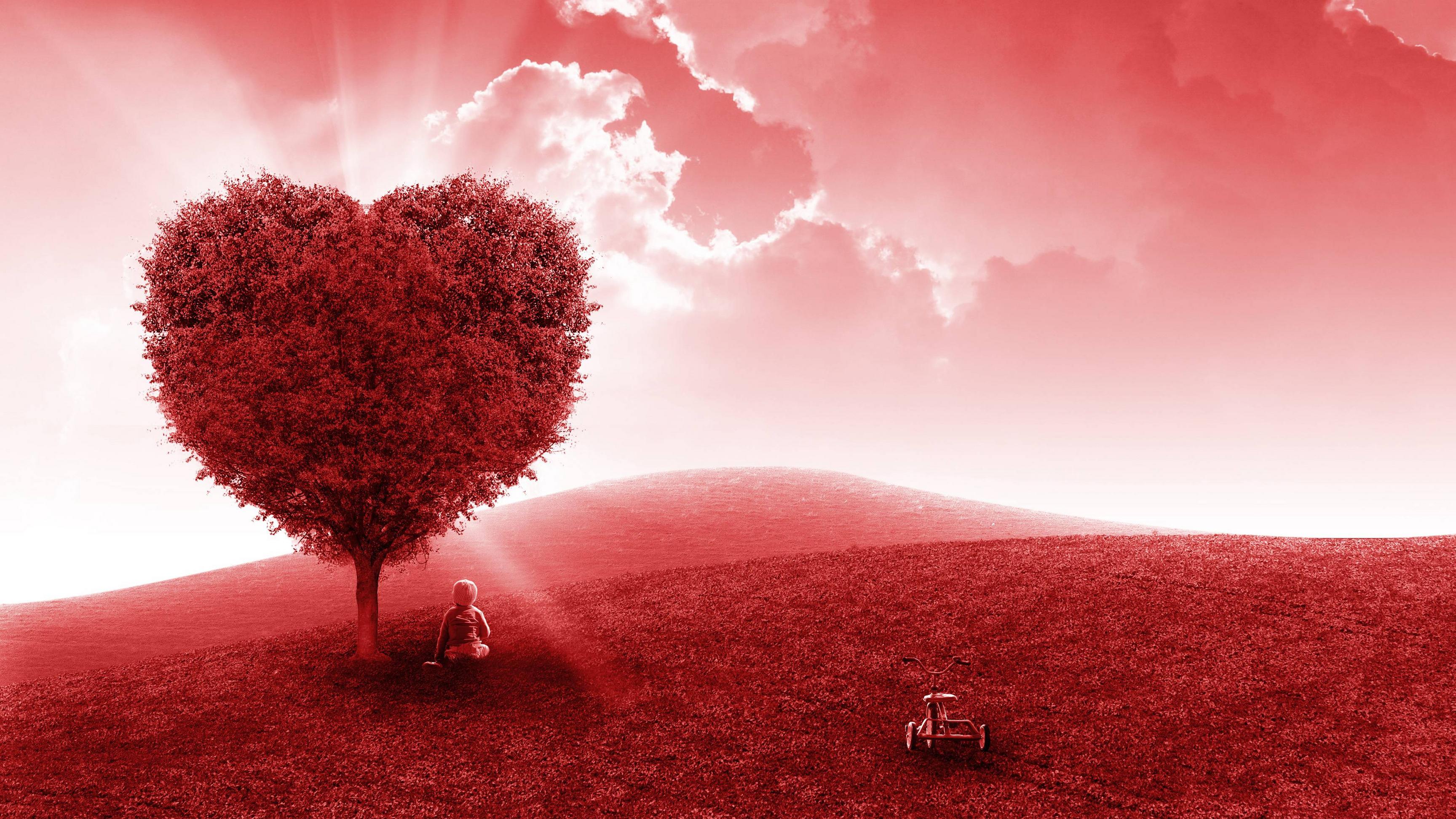 Heart-Shaped Artistic Tree 4K Wallpapers