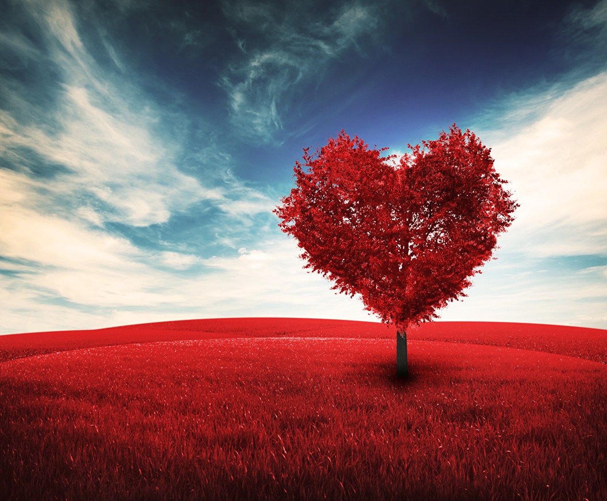 Heart Tree Images Wallpapers